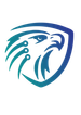Parsia Software, hardware, network,and cyber-security