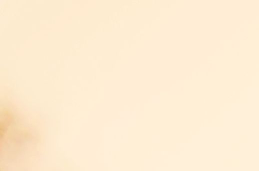 Hochzeitlocation Ludwigsfelde, Hochzeitlocation Potsdam, HochzeitlocationBerlin, ihre Hochzeitlocation, Hochzeitlocation 