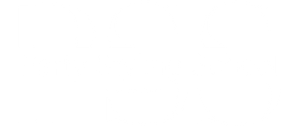 Partystyling School