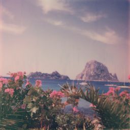 _MG_3100