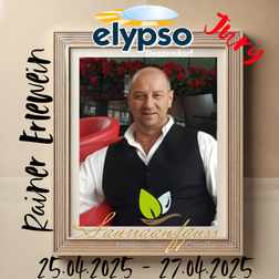 Reiner Erlewein