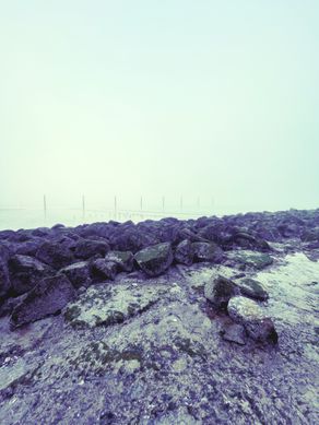 natuurreservaat