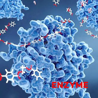 Enzyme