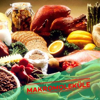 Makromoleküle