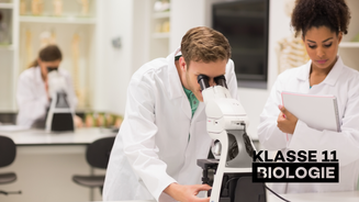 klasse 11 Biologie