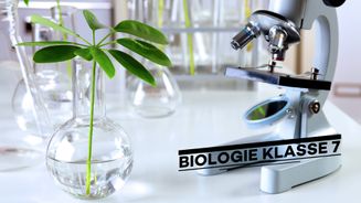 Biologie Klasse 7