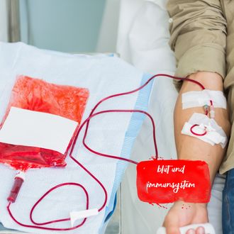 Blut und Immunsystem