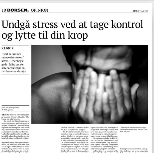 Børsen Kronik 