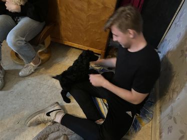Krille och Koskis