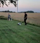 Tequila på Happy Hund i Vara sommaren 2020