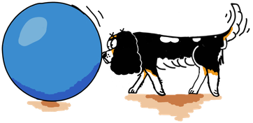 Treibball