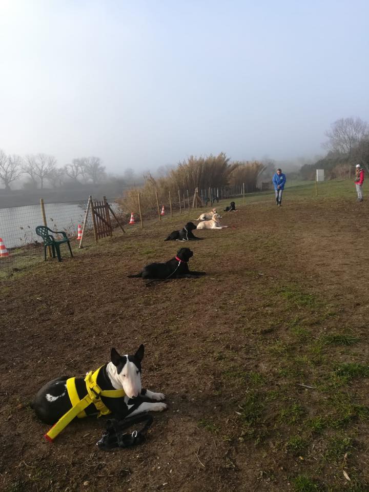 addestramento_terra_6