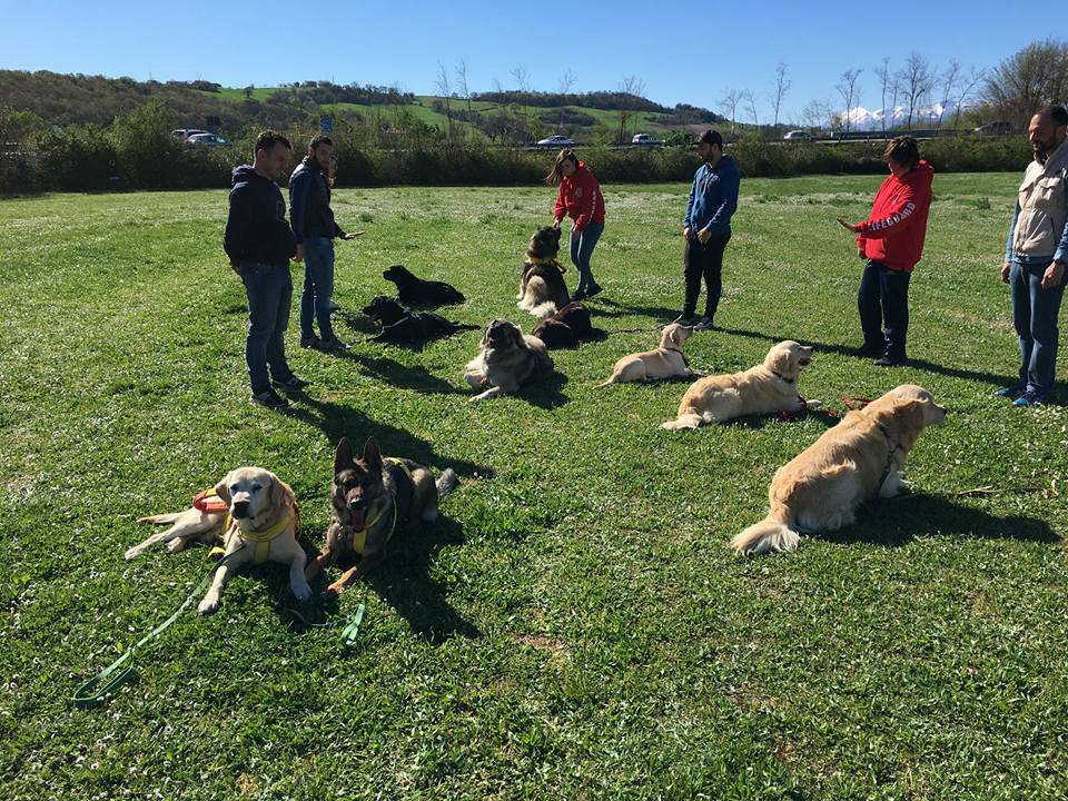 addestramento_terra_9