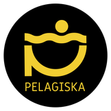 Pelagiska