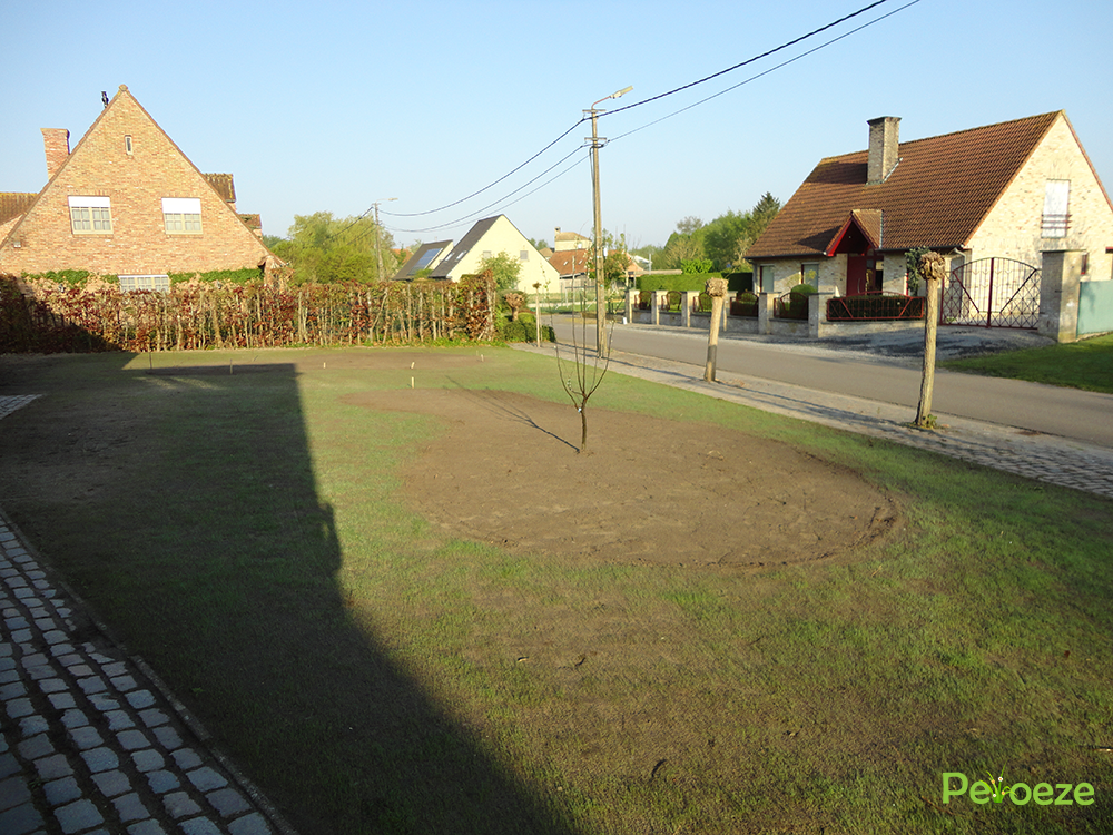 Aanleg bloemenweide + gazonrenovatie 10 Peloeze