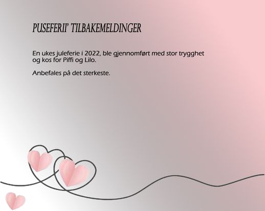 Piffi og Lilo Puseferii