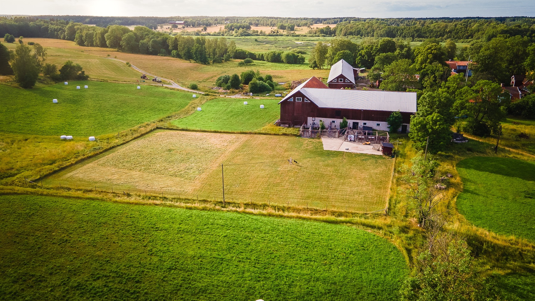 Penningby hunddagis & hotell galleri bild 1