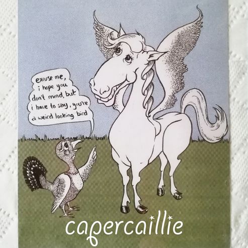 Capercaille