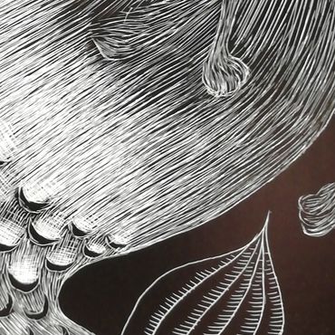 merdog - detail