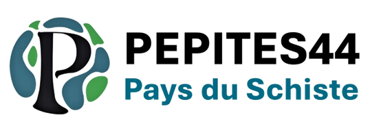 Association PEPITES44