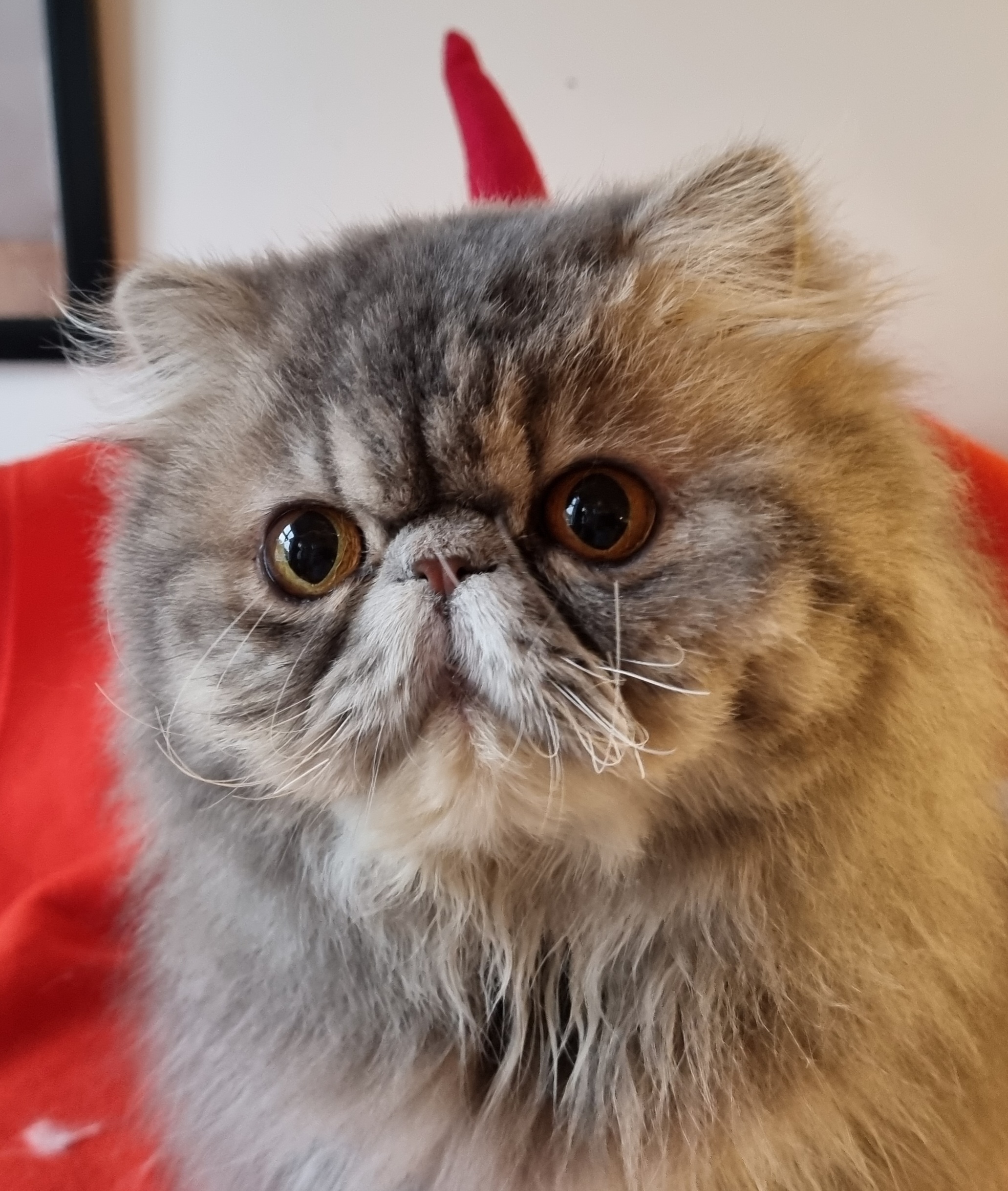 My Sign Blue Amacing Grace