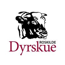Logo Roskilde - Kopi