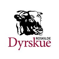 Logo Roskilde
