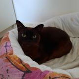 GIP Joy of Living´s Mathilde