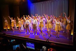Mad About Musicals P Wilkinson (53)
