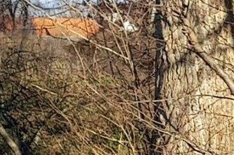 Indvielse af de nye baner i HØJBY PARK, januar 2019