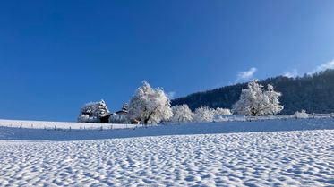 Januar 2024 (12)