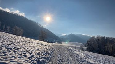 Januar 2024 (13)