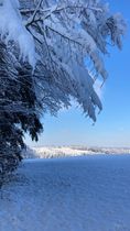Januar 2024 (2)