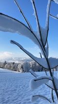 Januar 2024 (6)