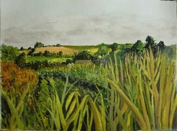 Janet Darke