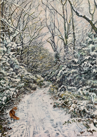 Bretton park in the winter