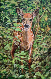Doe in the wood