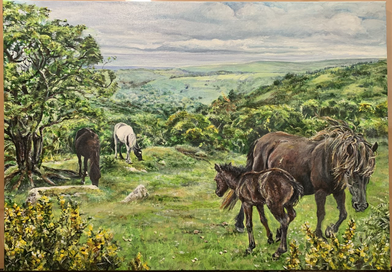 New forest ponies