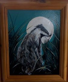 Moonlight Badger