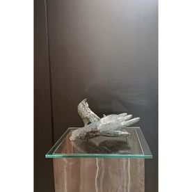 Hand-Schoen DE BRONZEN februari 2025