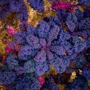 DJI_Air2_013726_AuroraHDR-edit-2