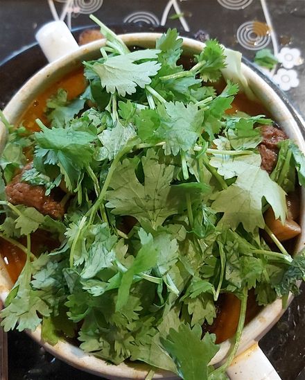 Went to town on the coriander!
