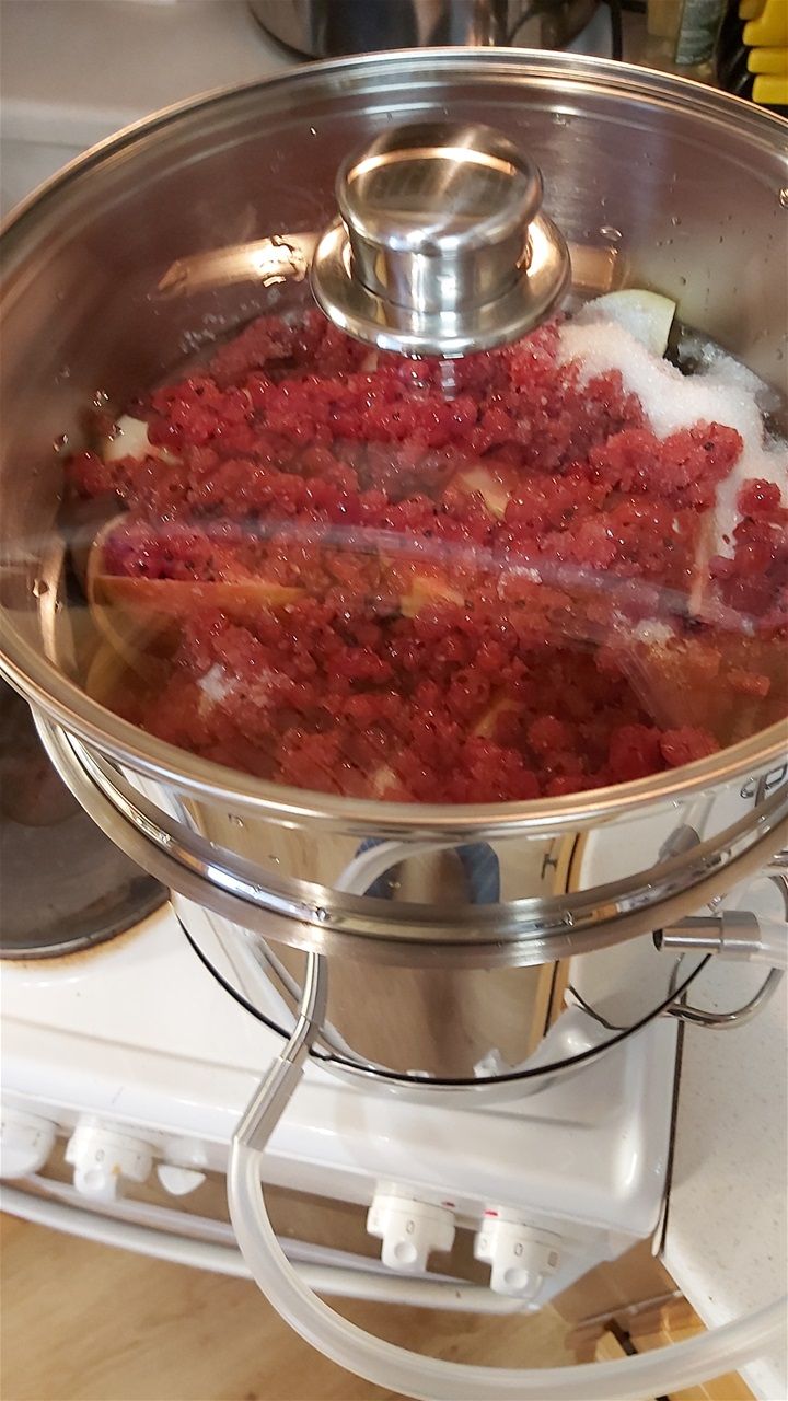 Red currant and apple juice cordial in my steam juicer
