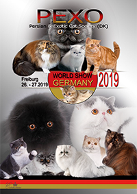 World Show 2019