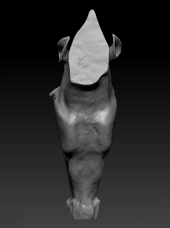 escaneo-3d-3