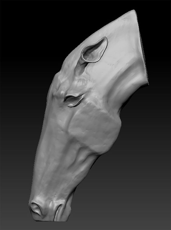 escaneo-3d-4