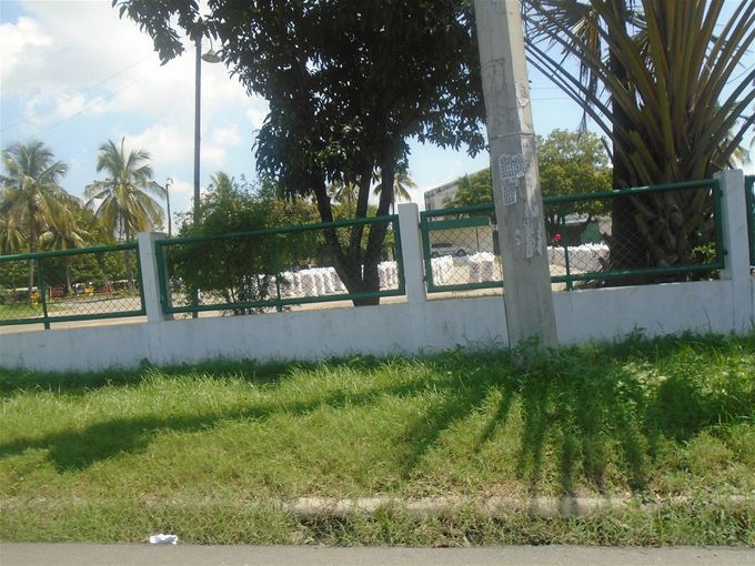 Palay, bagged after being dried, at a government-sponsored cooperative on the Maharlika Highway in downtown Cabanatuan.