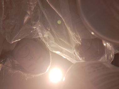 20231025_063116