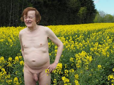 Yellow Flower