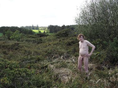 Hærvejen